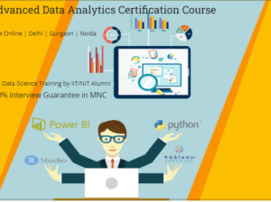 Data Analytics Course in Delhi, 110046. Best